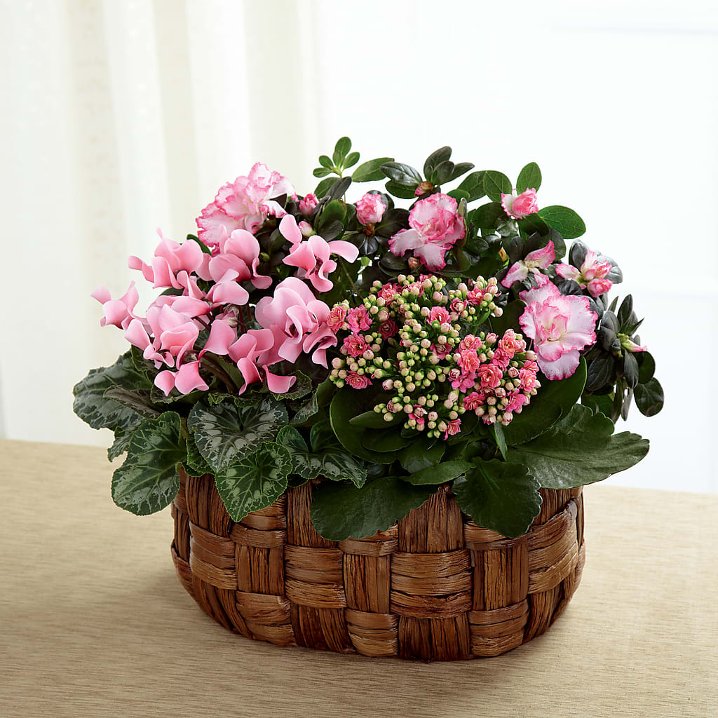 Pink Assortment – Sweet As Can Bee Florals, Baltimore MD