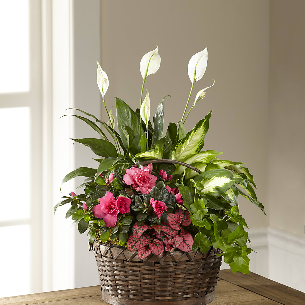 Dream in Pink Dishgarden – Sweet As Can Bee Florals, Baltimore MD
