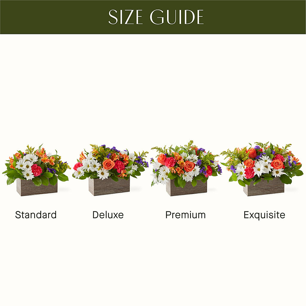 Oopsie Daisy Box Bouquet – Sweet As Can Bee Florals, Baltimore MD