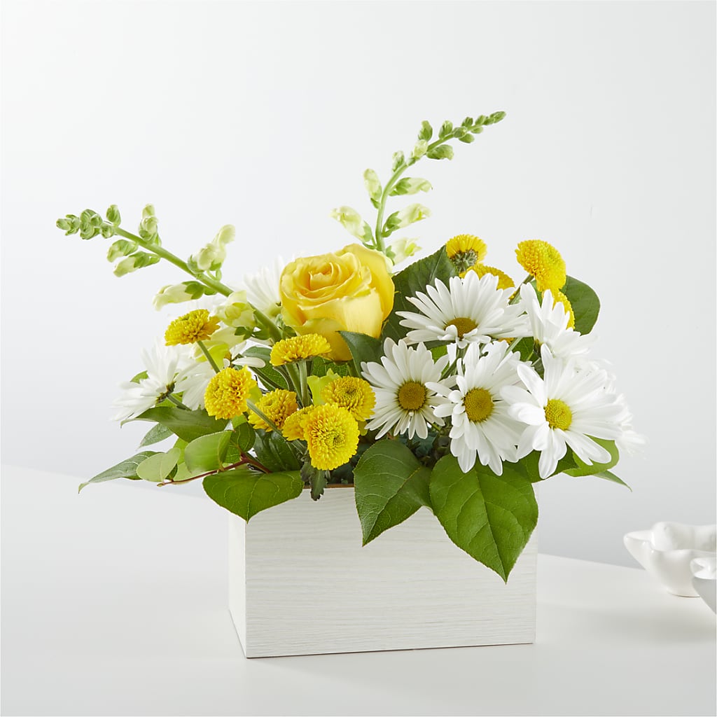 Sun Salutation Box Bouquet – Sweet As Can Bee Florals, Baltimore MD