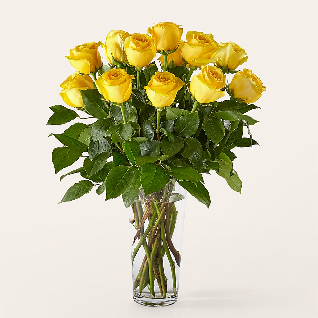 Long Stem Yellow Rose Bouquet – Sweet As Can Bee Florals, Baltimore MD