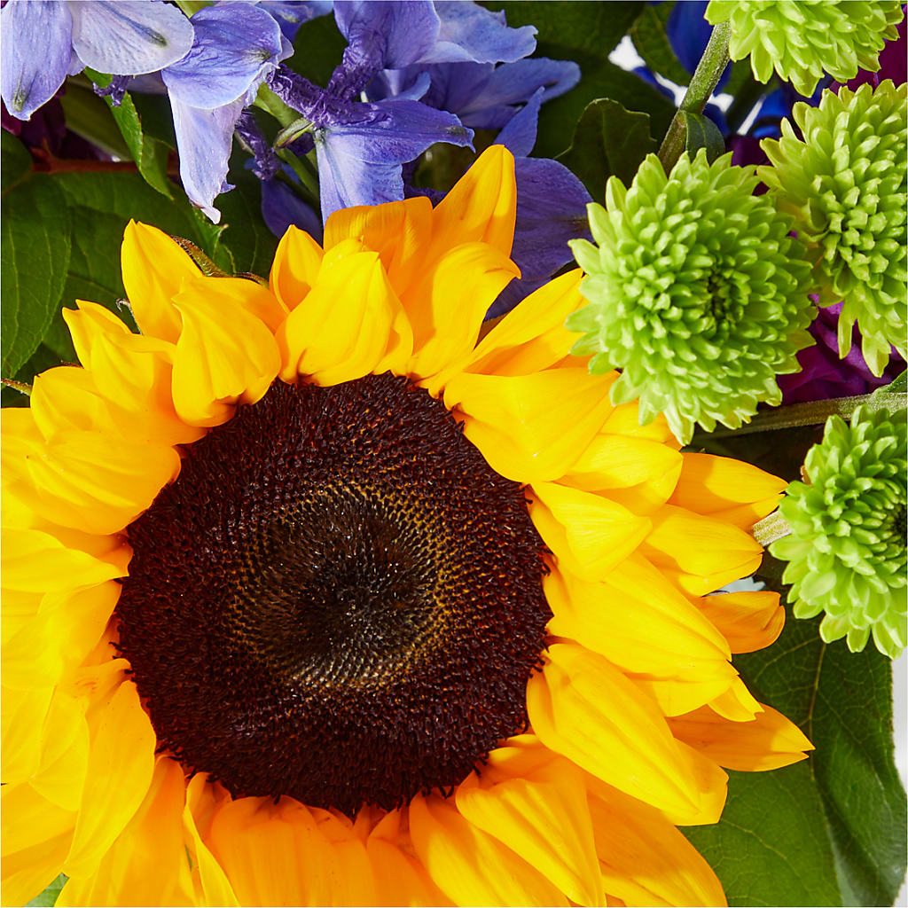Catching Rays Bouquet – Sweet As Can Bee Florals, Baltimore MD