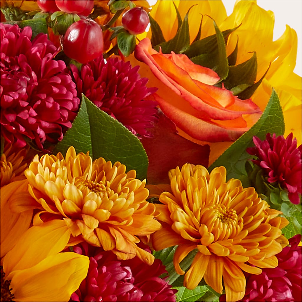 Sweater Season - A Florist Original – Sweet As Can Bee Florals, Baltimore MD