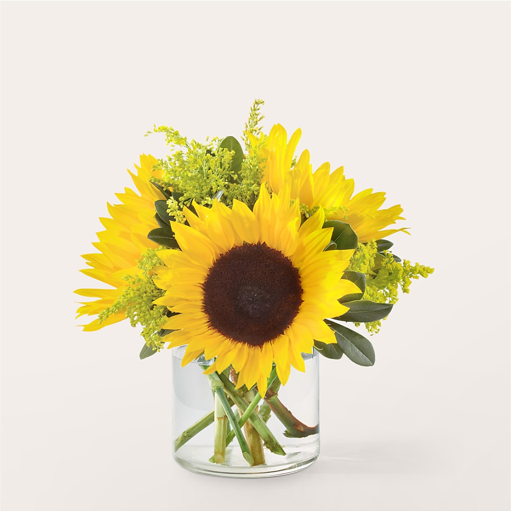 Beaming Sunflower Bouquet – Sweet As Can Bee Florals, Baltimore MD