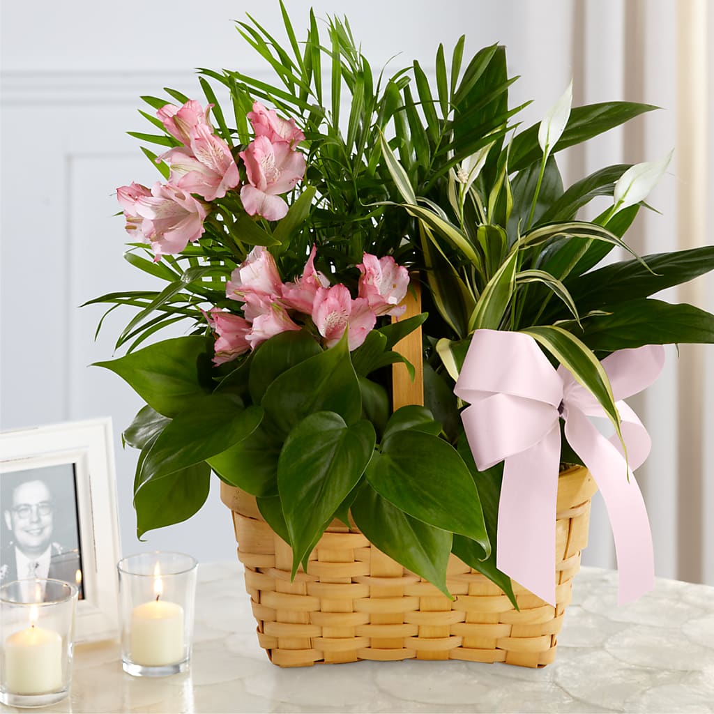Living Spirit Dishgarden – Sweet As Can Bee Florals, Baltimore MD