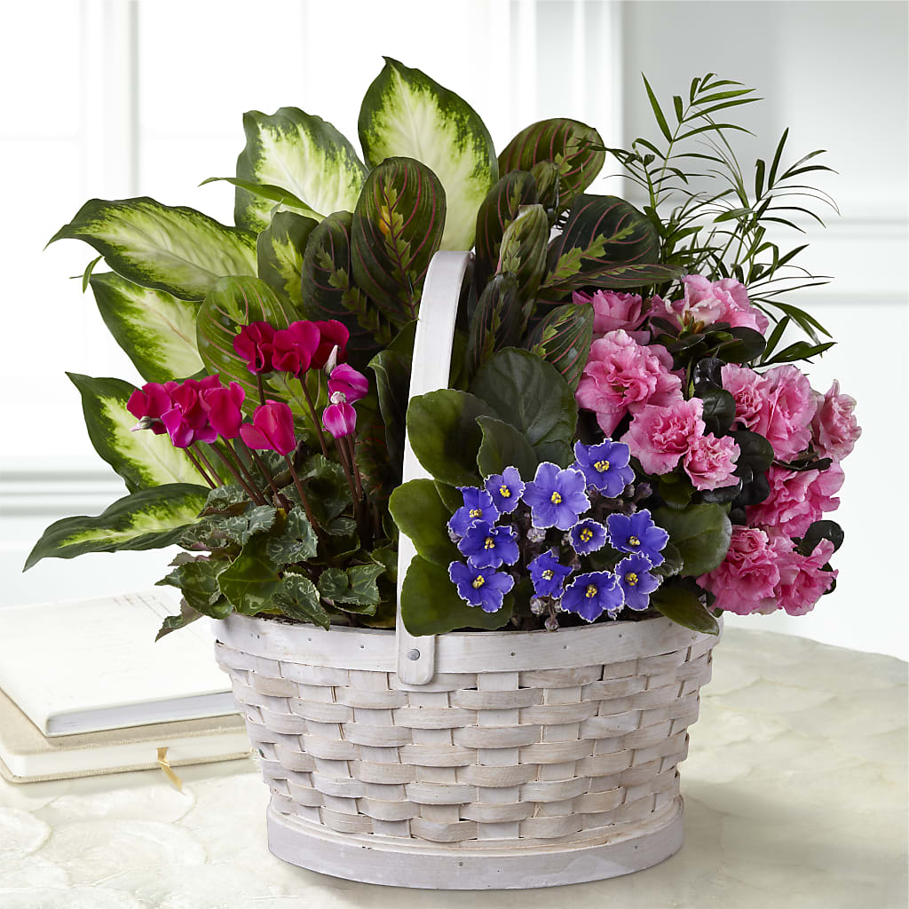 Peaceful Garden Planter – Sweet As Can Bee Florals, Baltimore MD