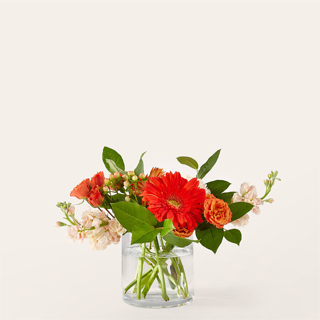 Paloma Please Bouquet – Sweet As Can Bee Florals, Baltimore MD