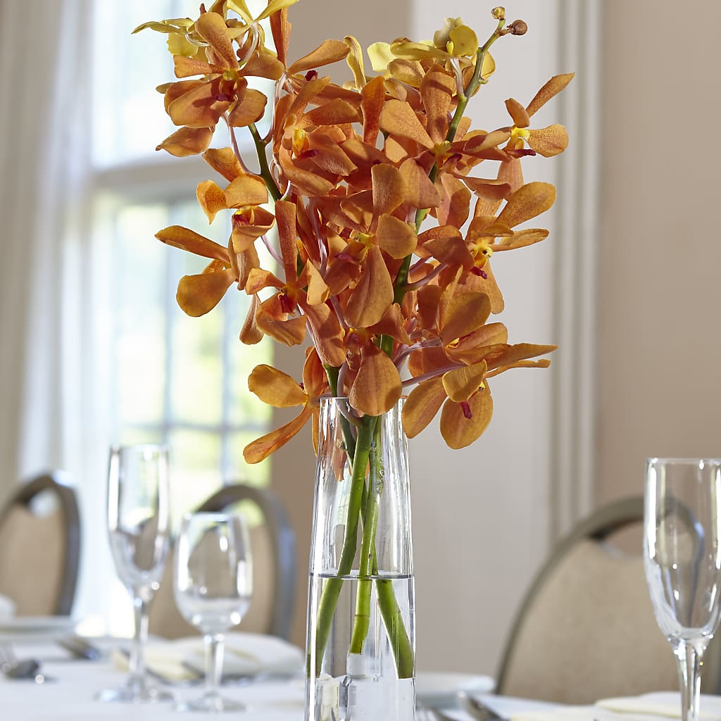 Orange Mokara Bud Vase – Sweet As Can Bee Florals, Baltimore MD