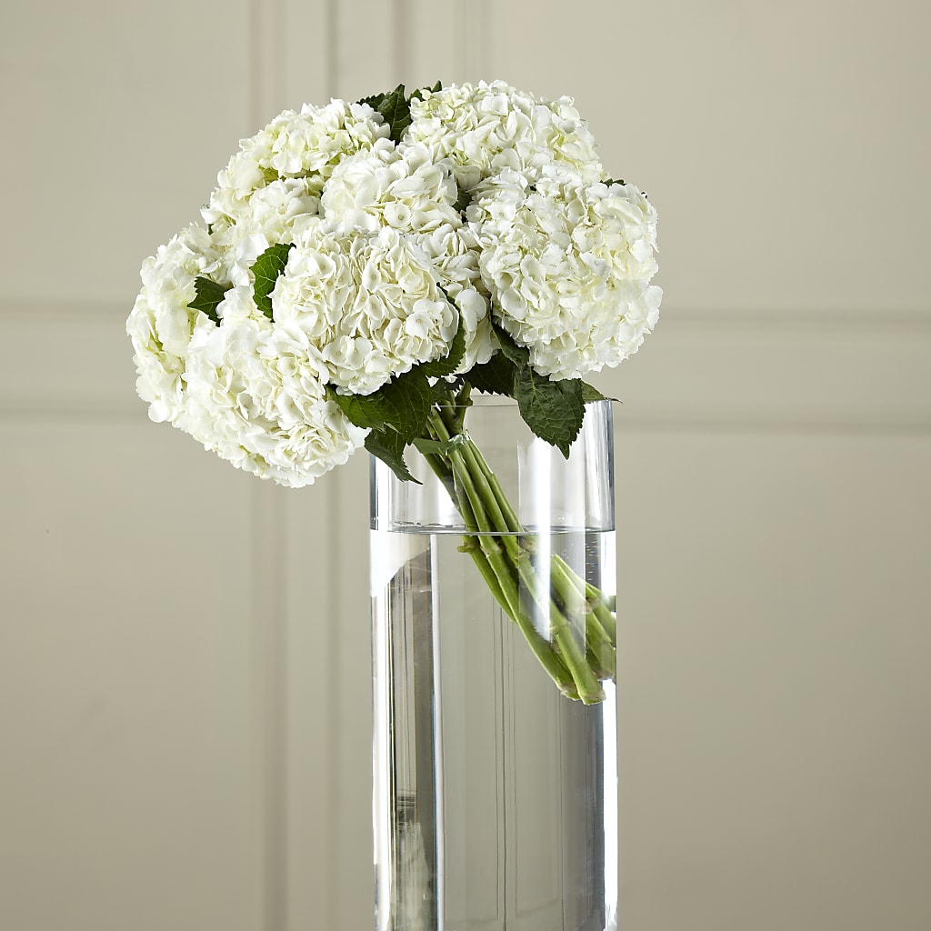 White Hydrangea Hand-Tied Bouquet – Sweet As Can Bee Florals, Baltimore MD