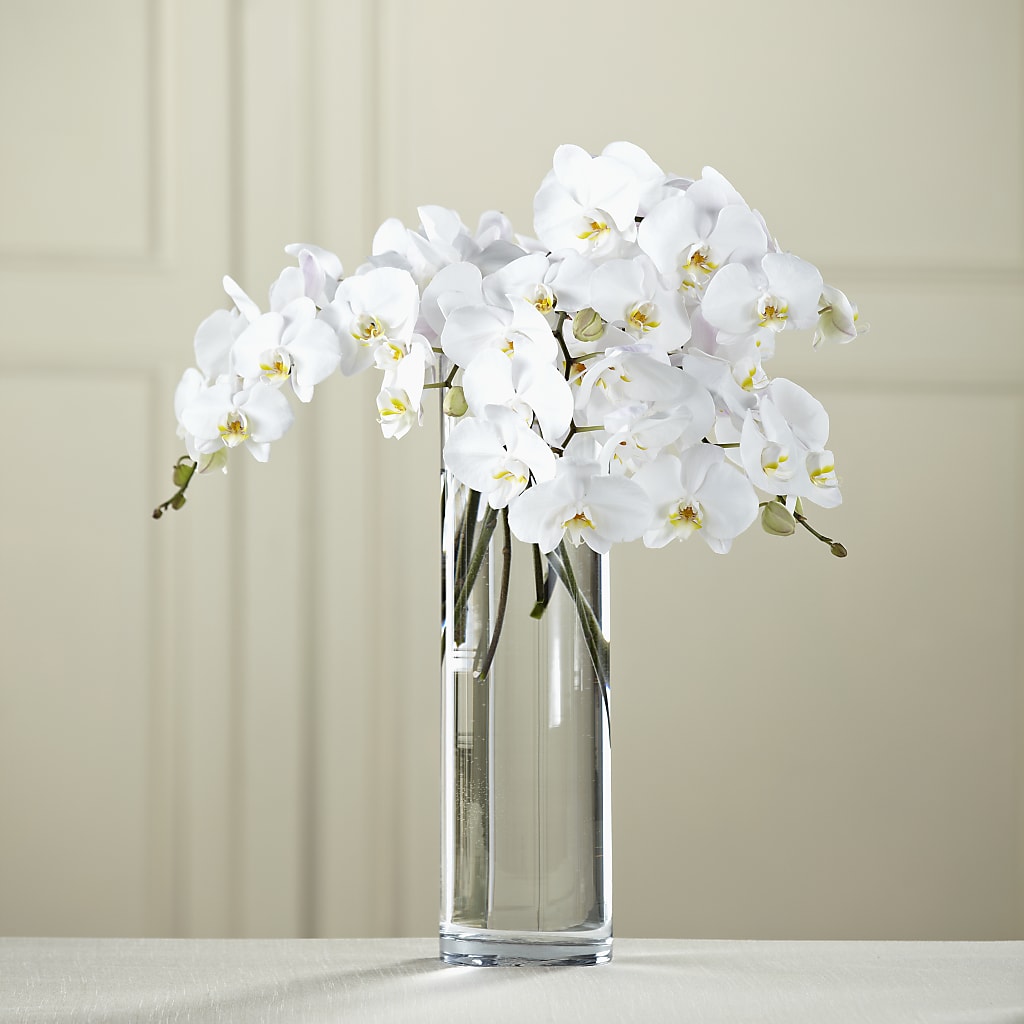 White Phalaenopsis Bouquet – Sweet As Can Bee Florals, Baltimore MD