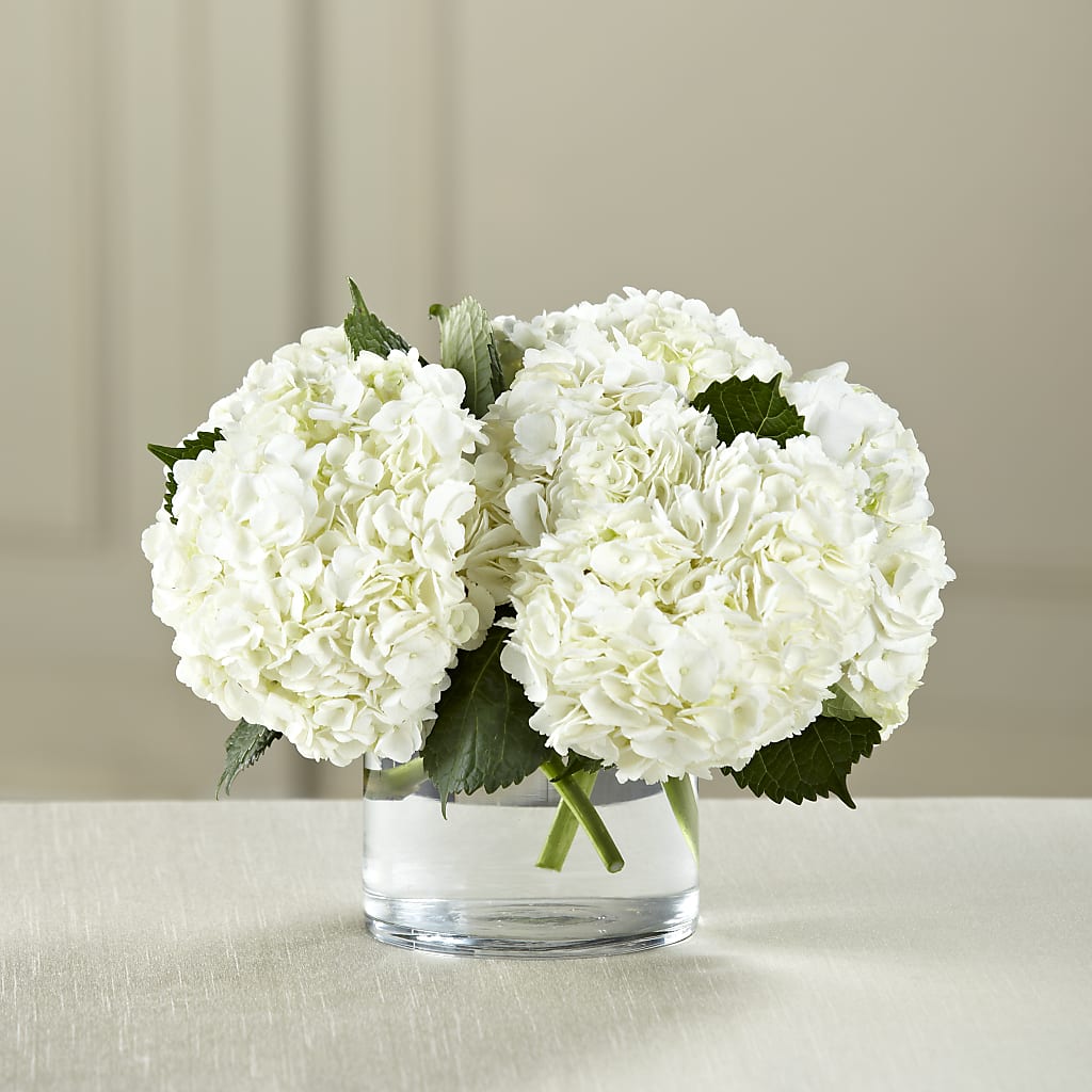 White Hydrangea Bouquet – Sweet As Can Bee Florals, Baltimore MD