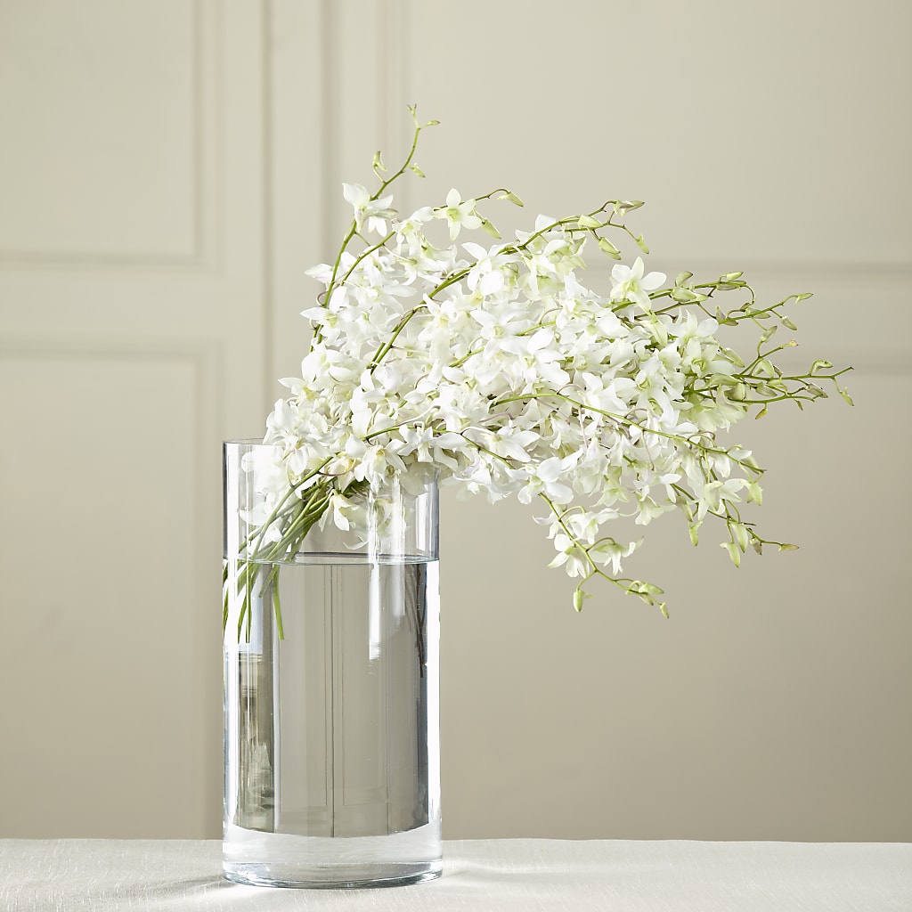 White Dendrobium Bouquet – Sweet As Can Bee Florals, Baltimore MD