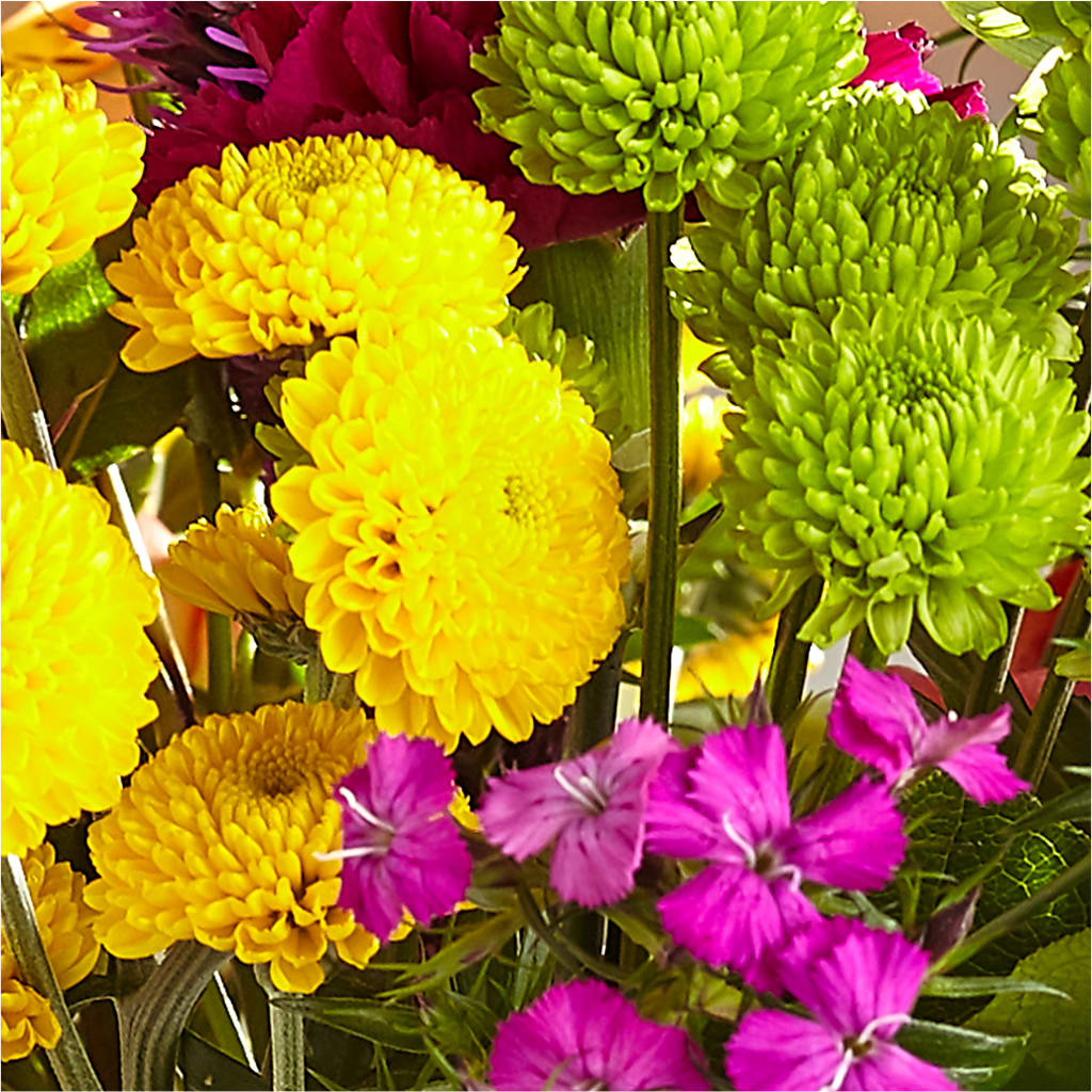 Bold & Bright – A Florist Original –  Sweet As Can Bee Florals, Baltimore MD