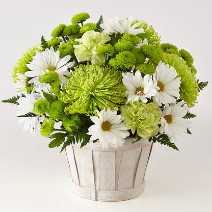 Lucky Charm Basket (Standard) –  Sweet As Can Bee Florals, Baltimore MD