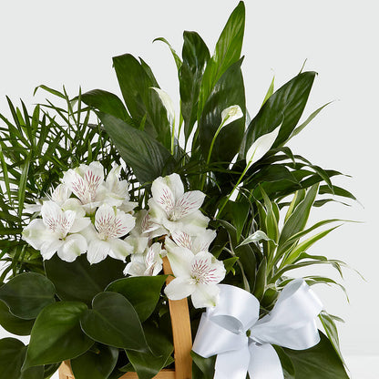 Peace & Serenity Dishgarden –  Sweet As Can Bee Florals, Baltimore MD