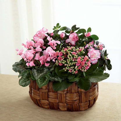 Pink Assortment –  Sweet As Can Bee Florals, Baltimore MD