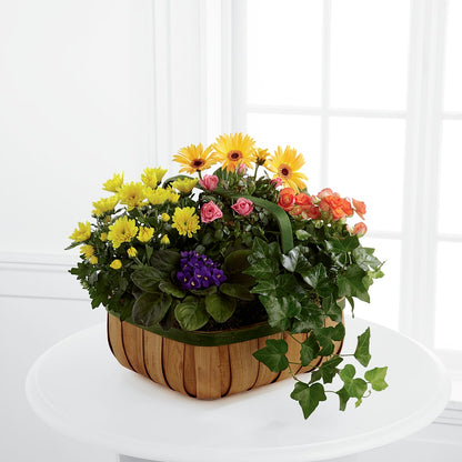 Gentle Blossoms Basket –  Sweet As Can Bee Florals, Baltimore MD