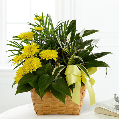 Loving Light Dishgarden –  Sweet As Can Bee Florals, Baltimore MD