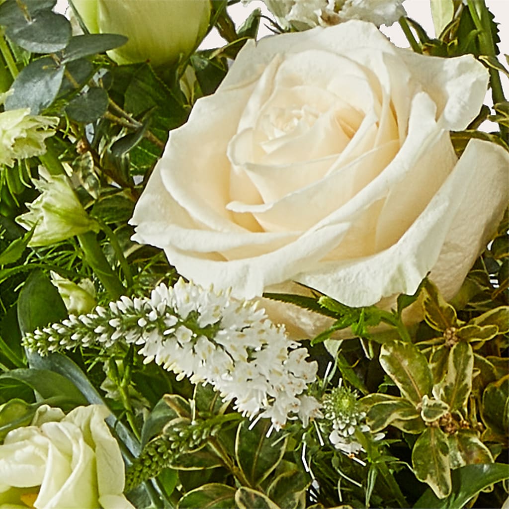 Cashmere Bouquet –  Sweet As Can Bee Florals, Baltimore MD