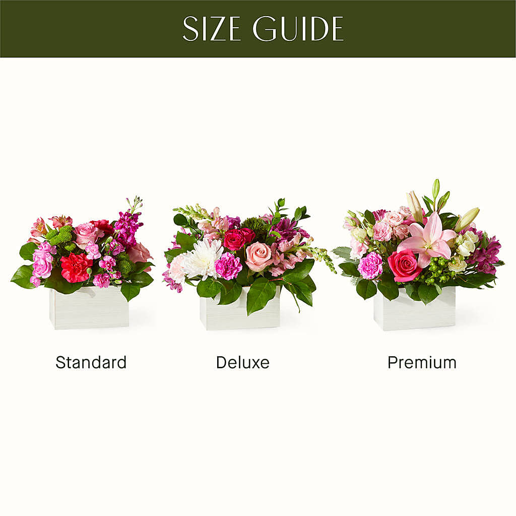 Sweetberry Box – A Florist Original –  Sweet As Can Bee Florals, Baltimore MD