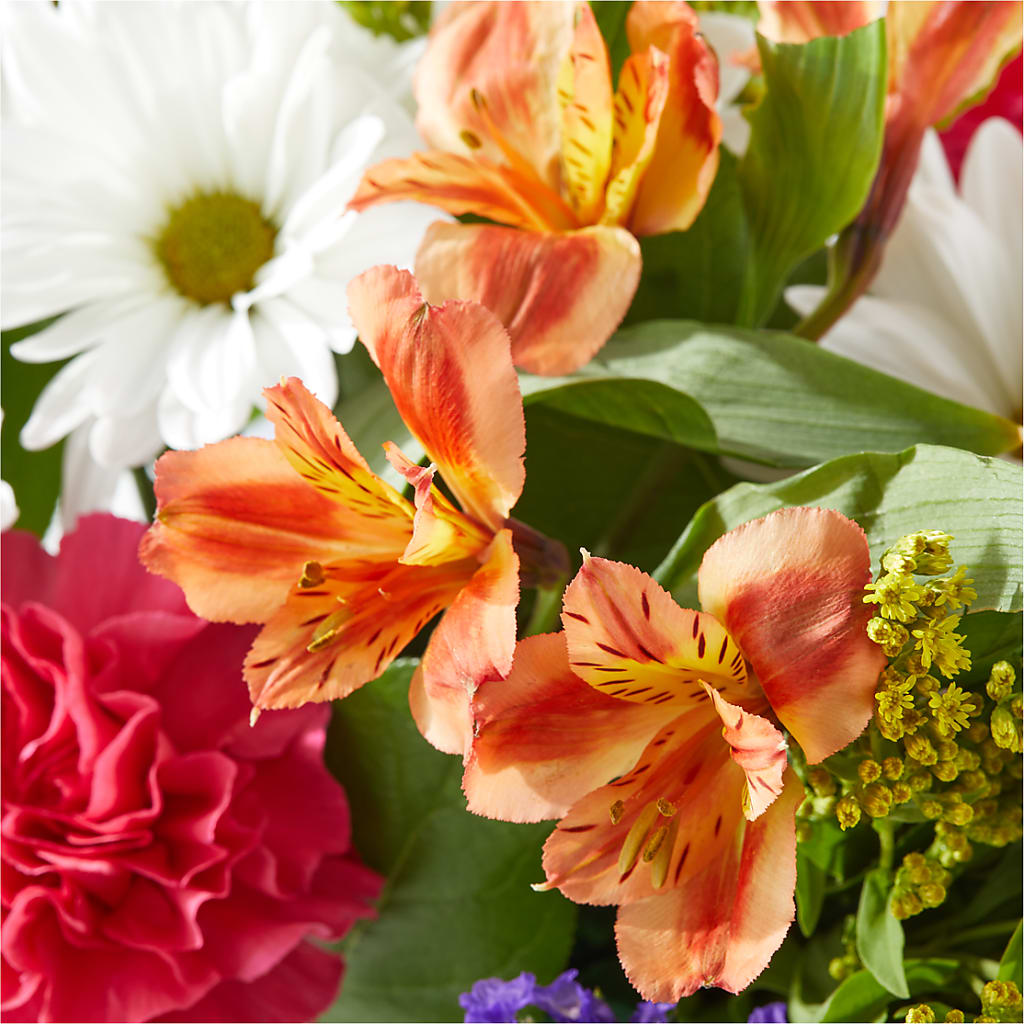Oopsie Daisy Box Bouquet –  Sweet As Can Bee Florals, Baltimore MD