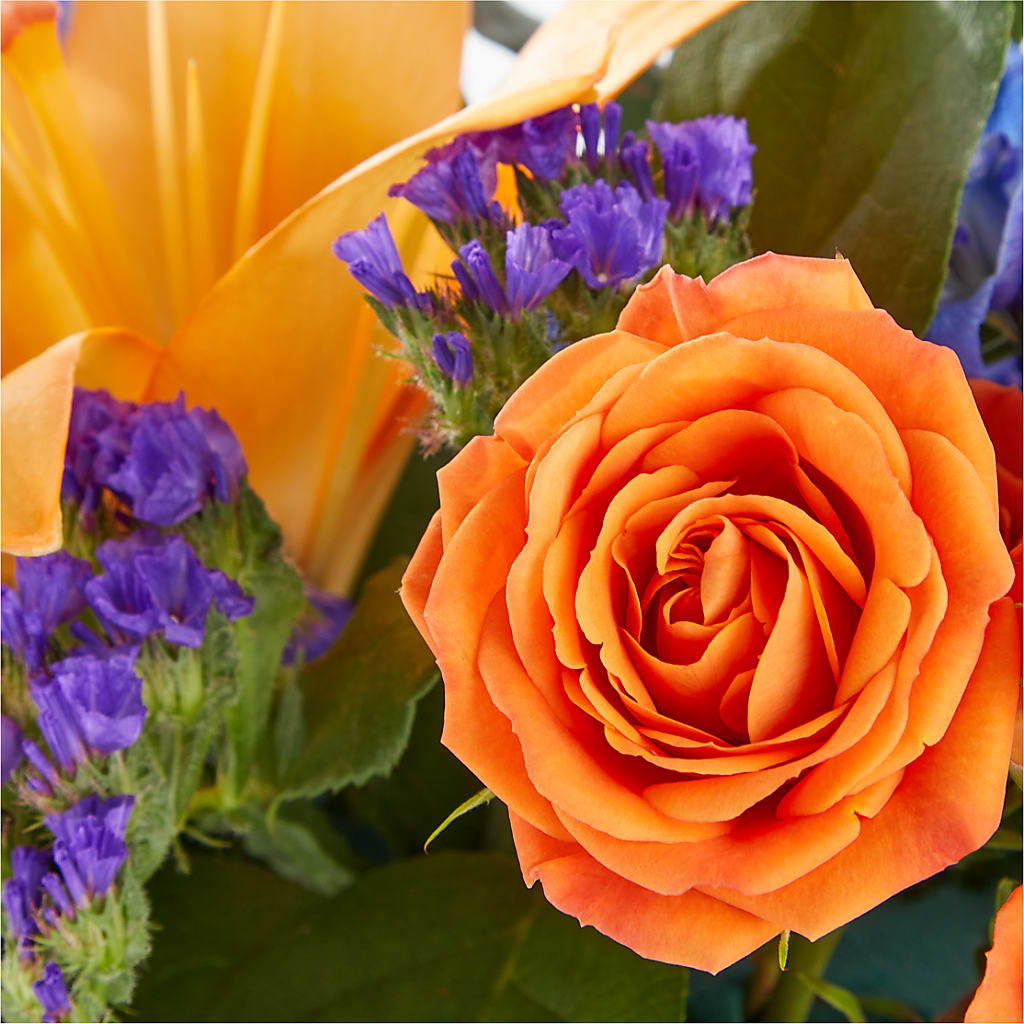 Radiant Citrus Box Bouquet –  Sweet As Can Bee Florals, Baltimore MD