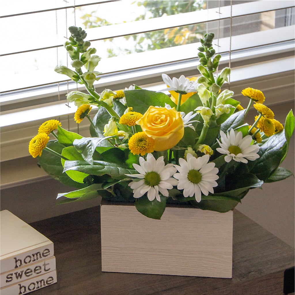 Sun Salutation Box Bouquet –  Sweet As Can Bee Florals, Baltimore MD