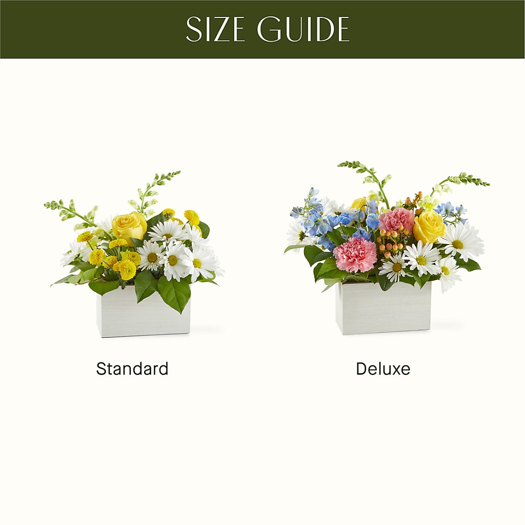 Sun Salutation Box Bouquet –  Sweet As Can Bee Florals, Baltimore MD