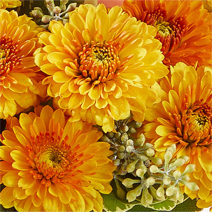Peachy Pumpkin –  Sweet As Can Bee Florals, Baltimore MD