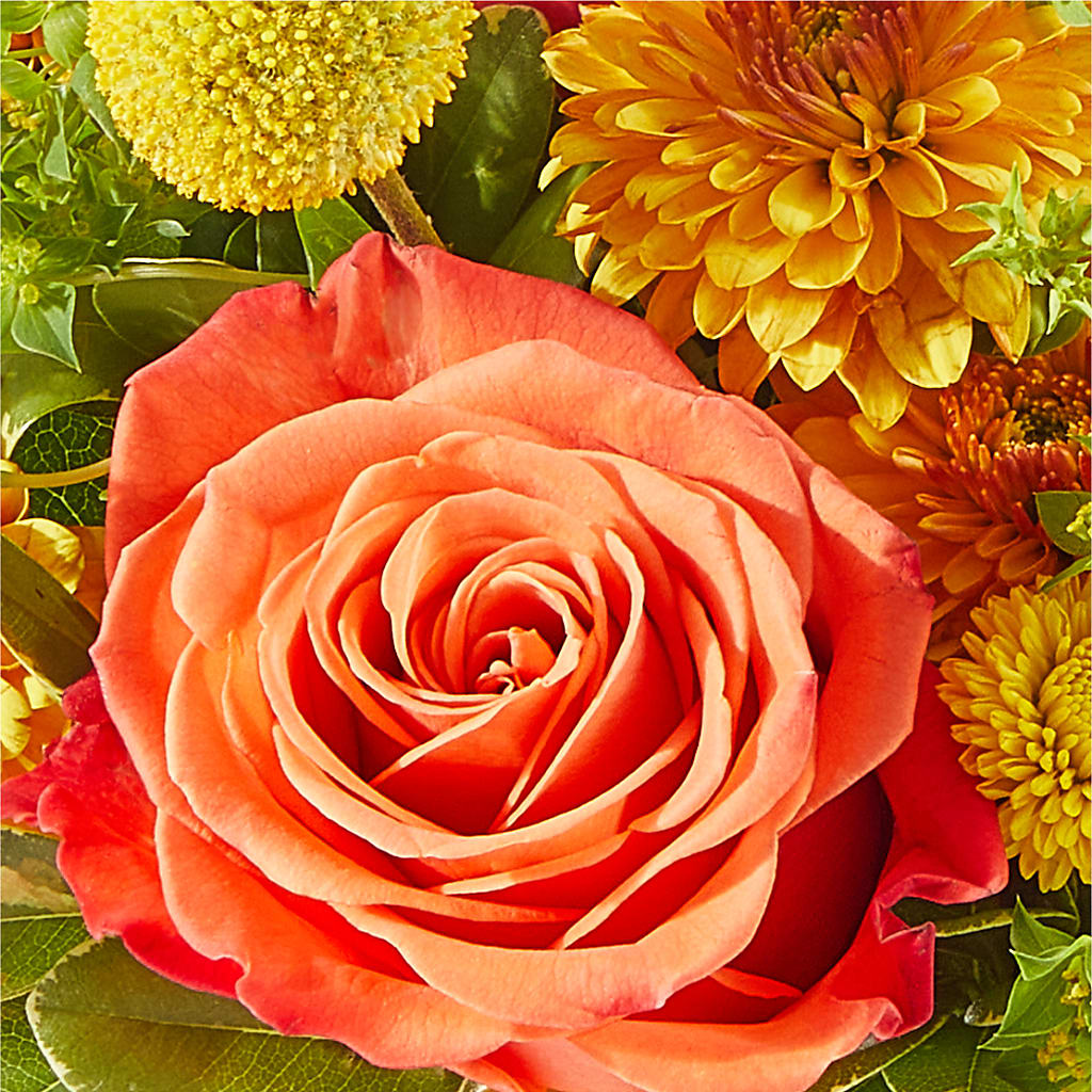 Gourdgeous Pumpkin –  Sweet As Can Bee Florals, Baltimore MD