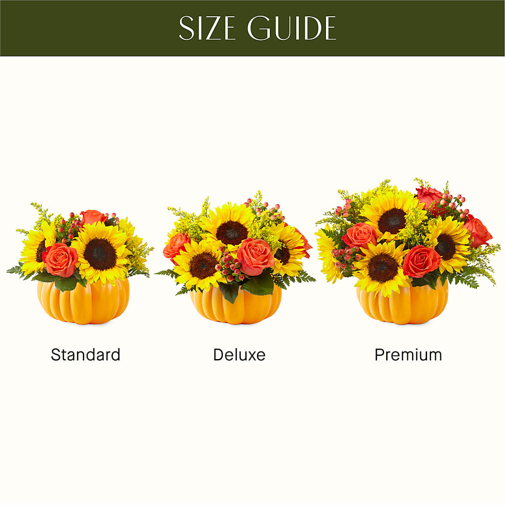 Pick of the Patch Pumpkin Bouquet –  Sweet As Can Bee Florals, Baltimore MD