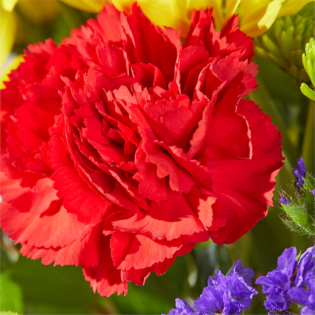 Brighter Days Bouquet –  Sweet As Can Bee Florals, Baltimore MD