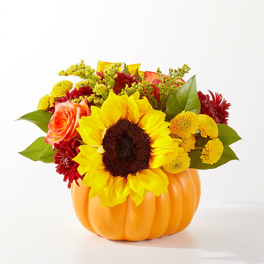 Golden Gourd Pumpkin Bouquet –  Sweet As Can Bee Florals, Baltimore MD