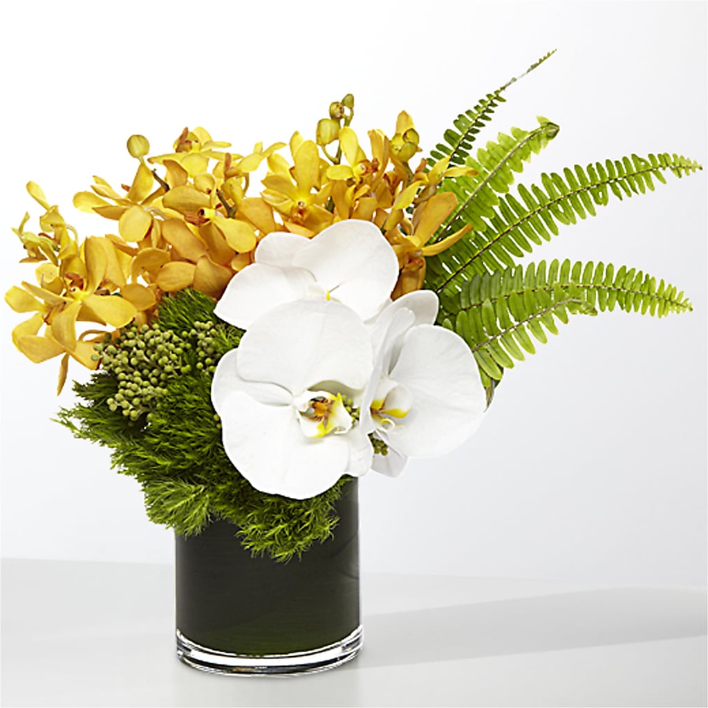 The Tropics –  Sweet As Can Bee Florals, Baltimore MD