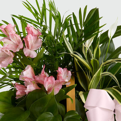 Living Spirit Dishgarden –  Sweet As Can Bee Florals, Baltimore MD
