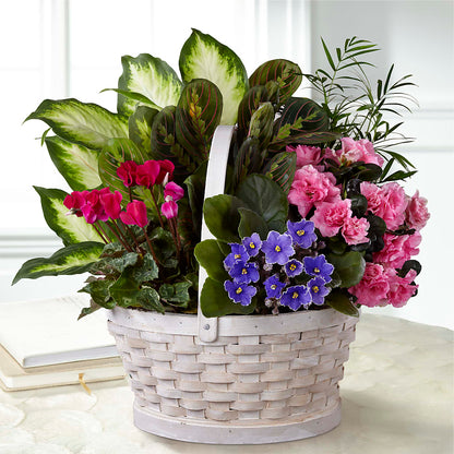 Peaceful Garden Planter –  Sweet As Can Bee Florals, Baltimore MD