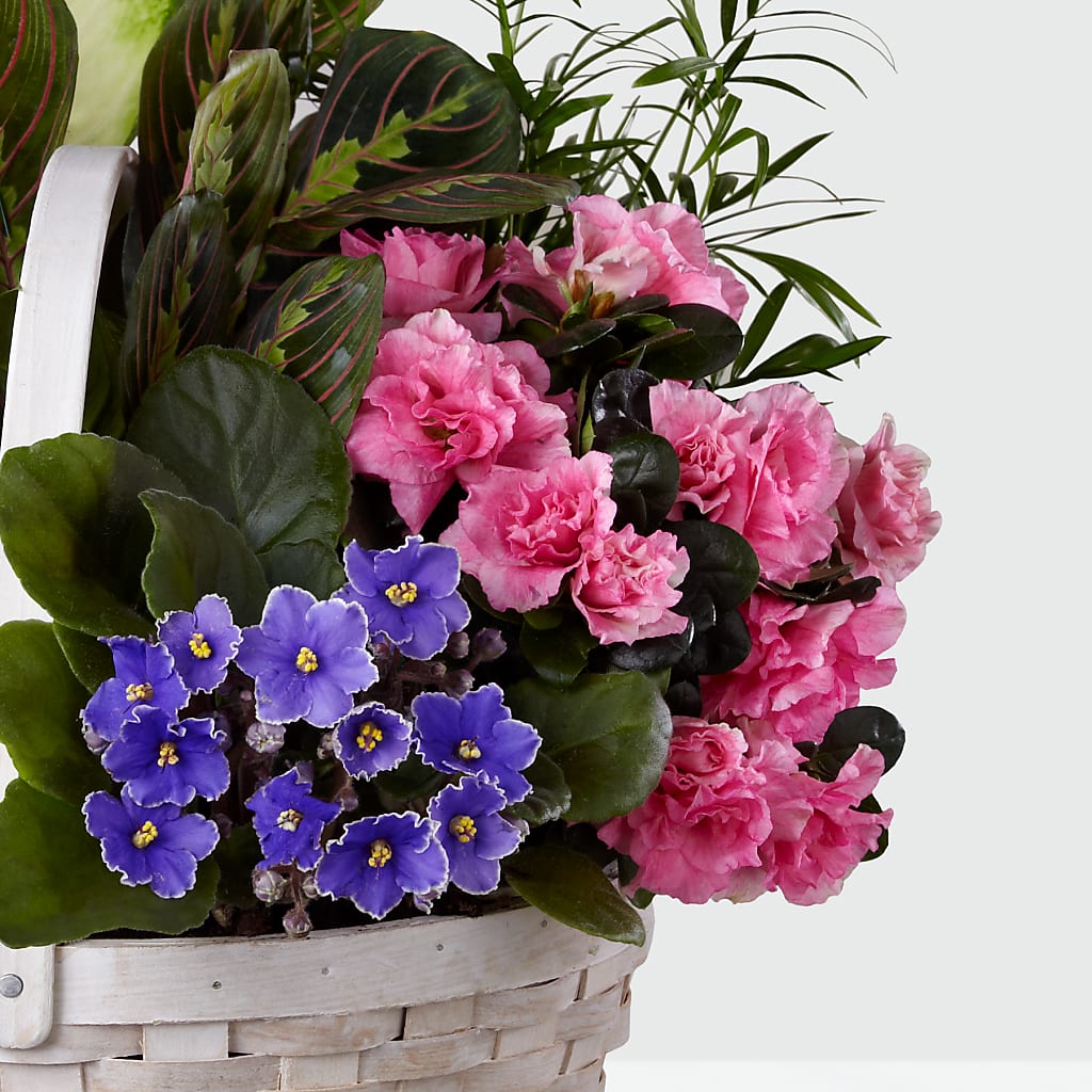 Peaceful Garden Planter –  Sweet As Can Bee Florals, Baltimore MD