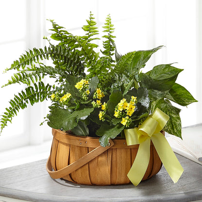 Always Dear Dishgarden –  Sweet As Can Bee Florals, Baltimore MD