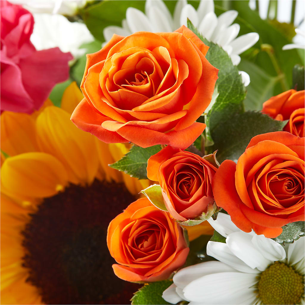 Sun-drenched Blooms Bouquet –  Sweet As Can Bee Florals, Baltimore MD