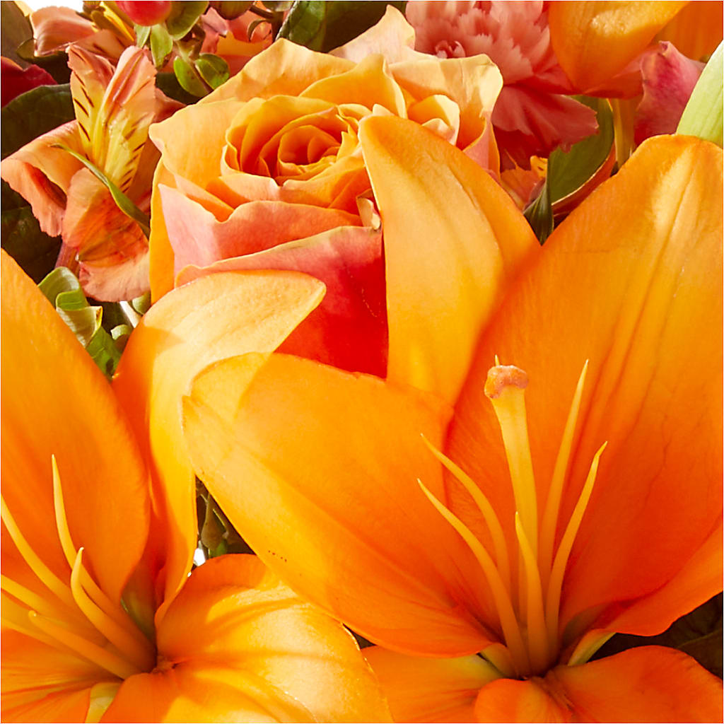 Afternoon Light Bouquet –  Sweet As Can Bee Florals, Baltimore MD