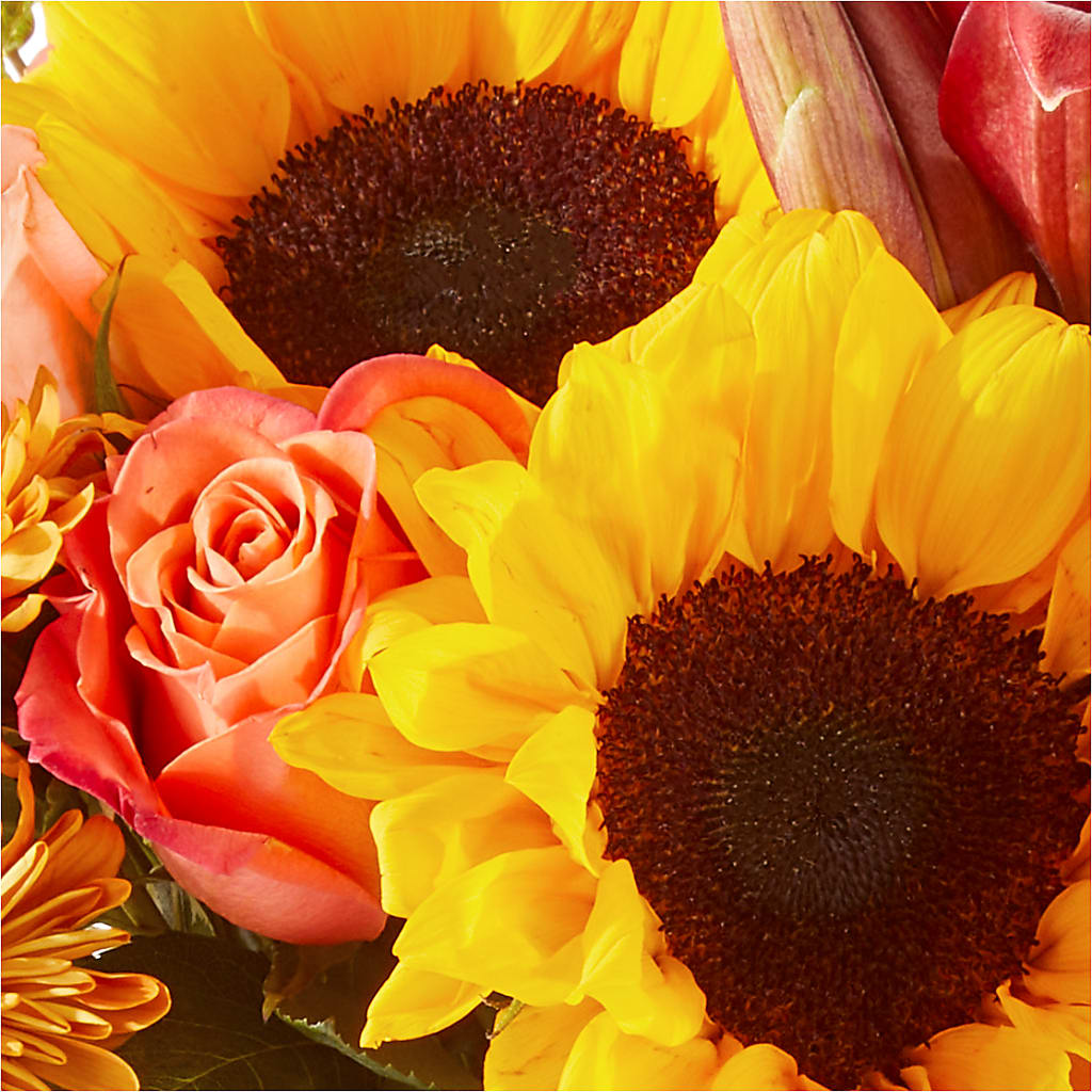 Acorn Lane Bouquet –  Sweet As Can Bee Florals, Baltimore MD