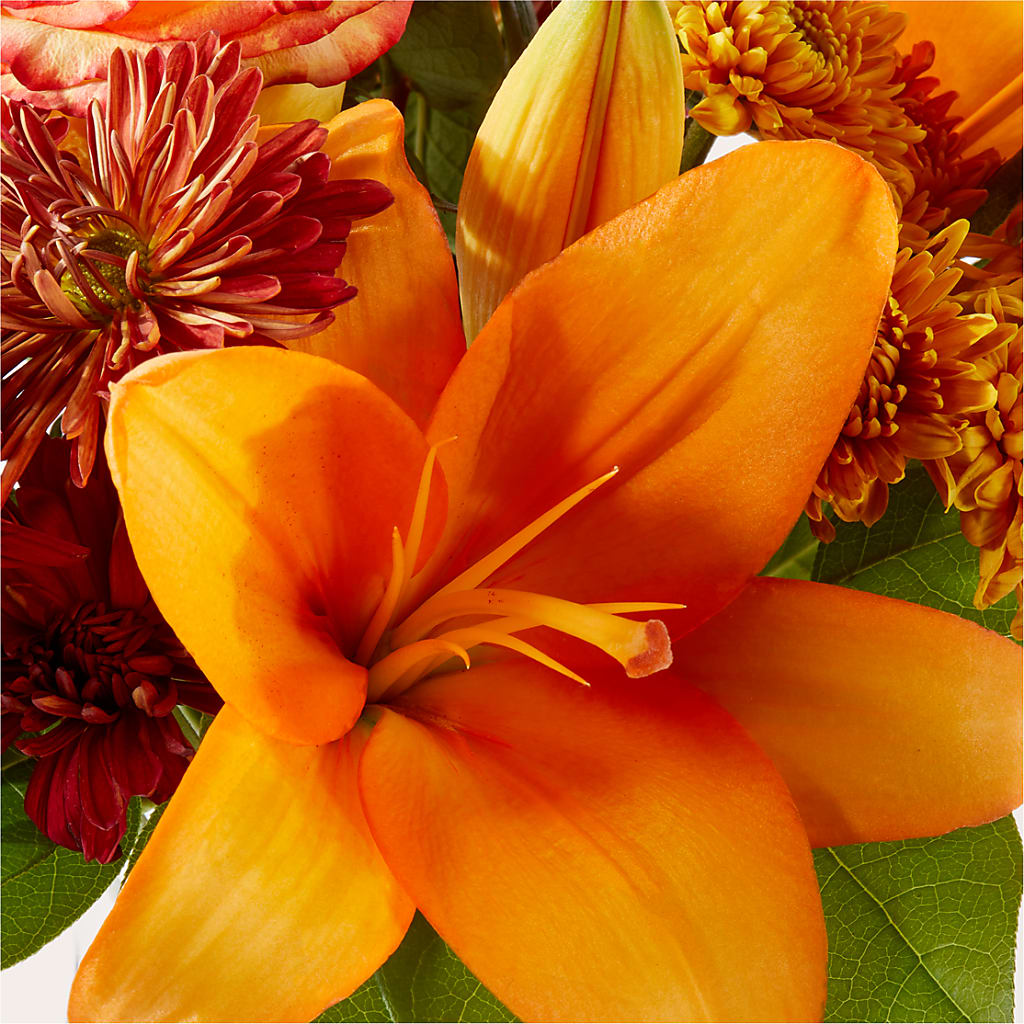 Autumnal Aroma Bouquet –  Sweet As Can Bee Florals, Baltimore MD