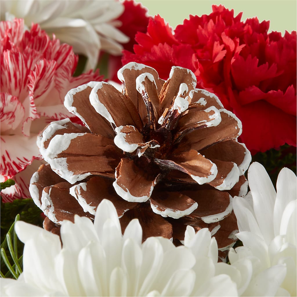 Candy Cane Lane Bouquet –  Sweet As Can Bee Florals, Baltimore MD