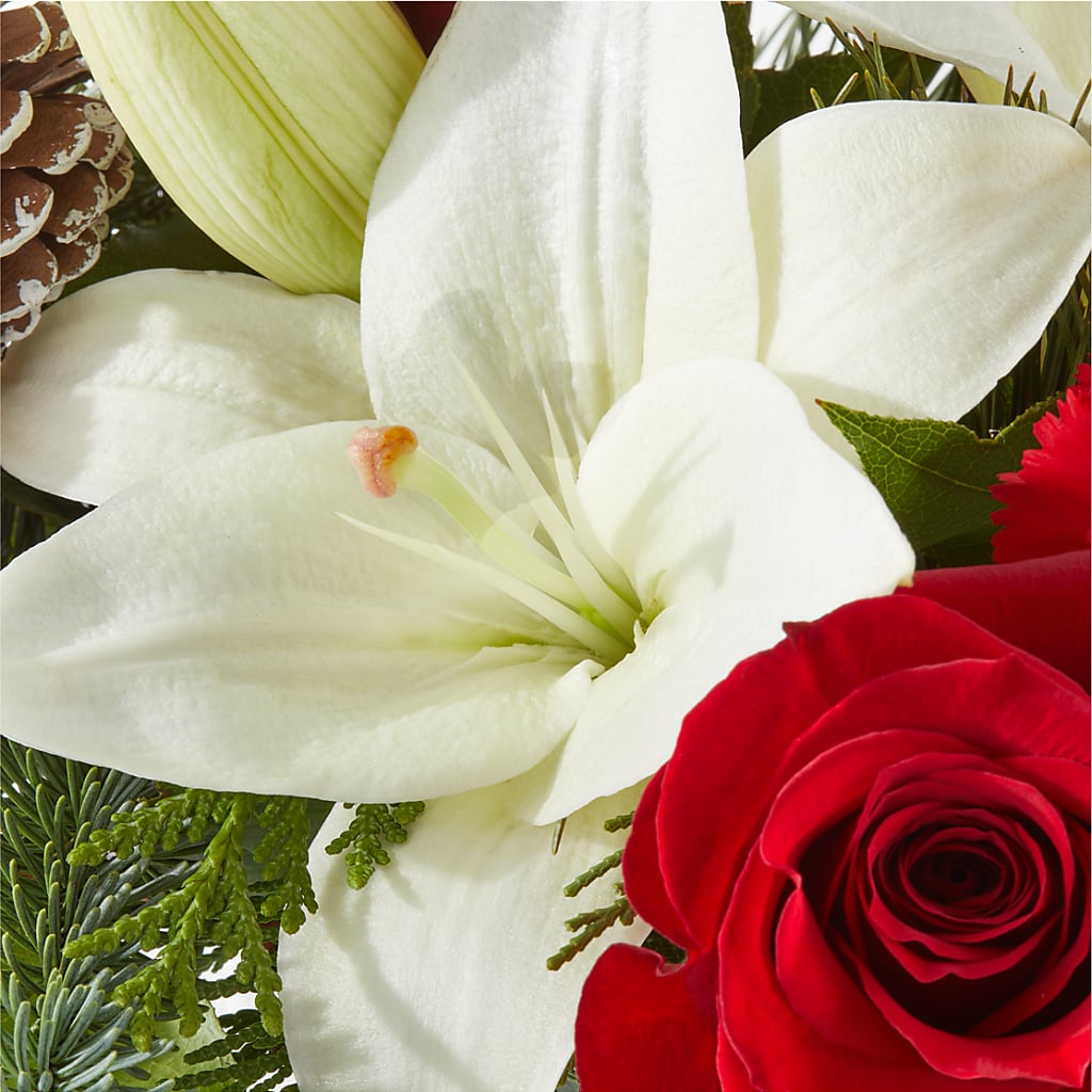 Oh So Jolly Bouquet –  Sweet As Can Bee Florals, Baltimore MD