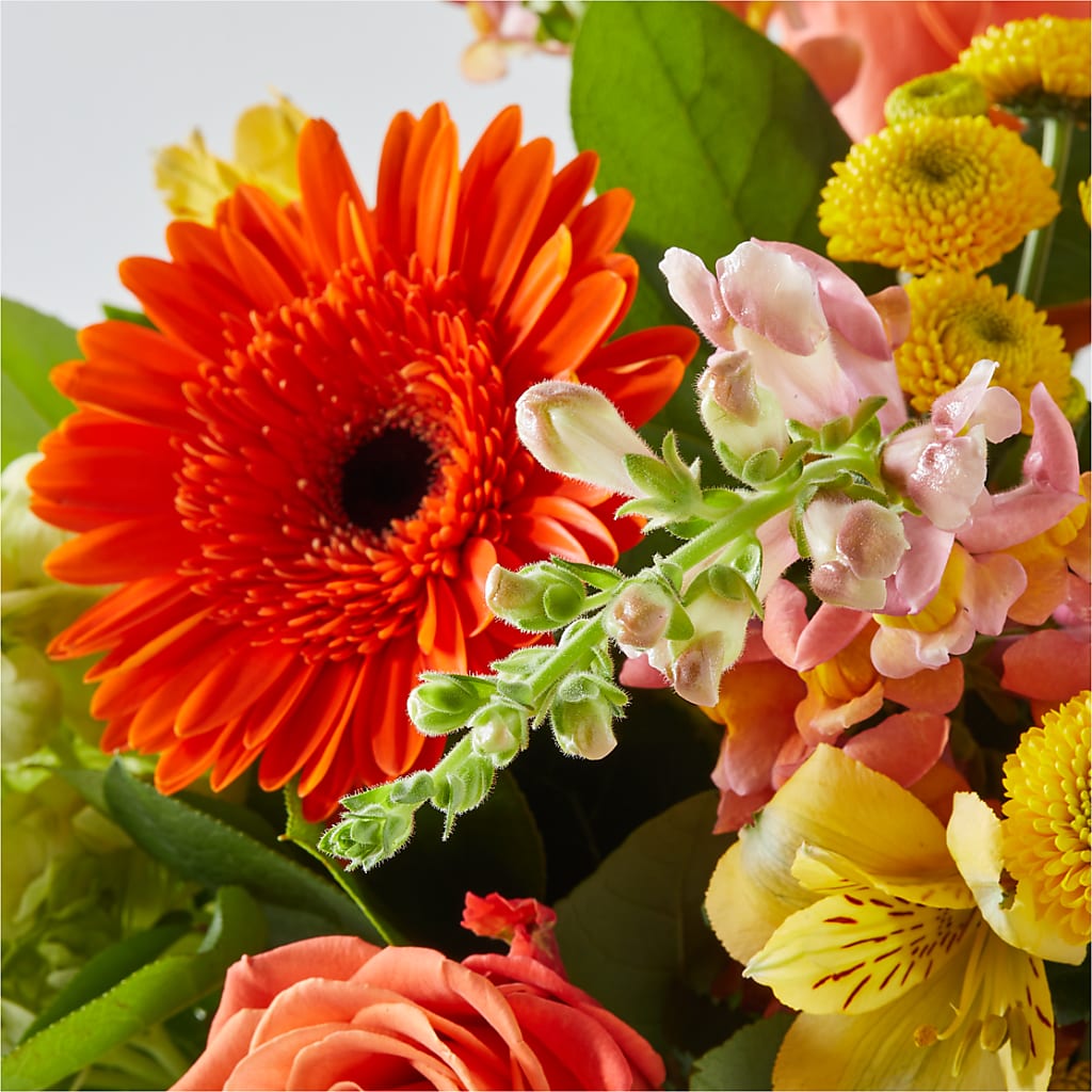 Autumn Sunshine Bouquet –  Sweet As Can Bee Florals, Baltimore MD