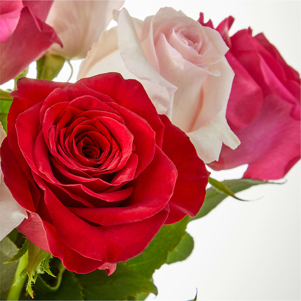 Charming Rose Bouquet –  Sweet As Can Bee Florals, Baltimore MD