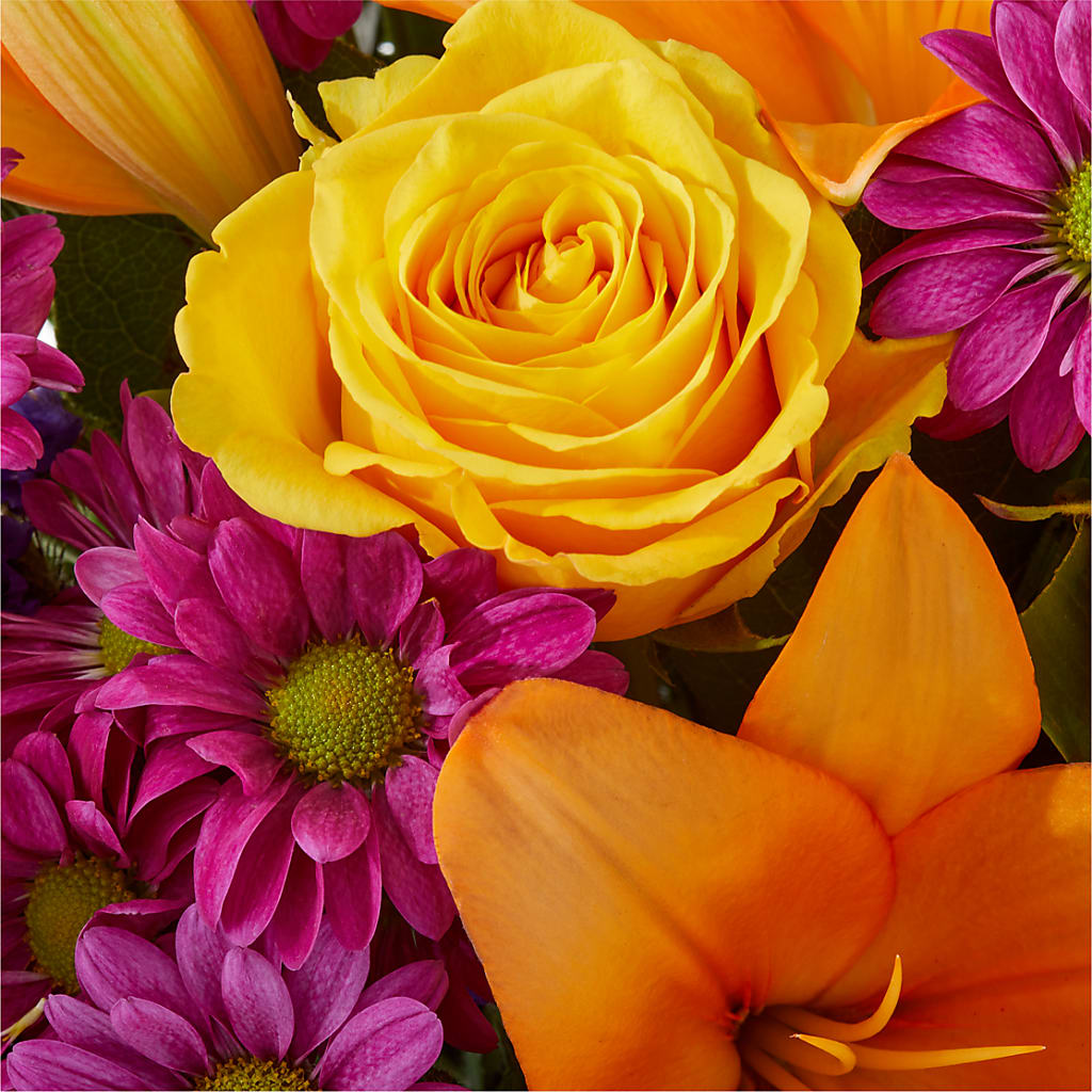 Colorful Visions Bouquet –  Sweet As Can Bee Florals, Baltimore MD