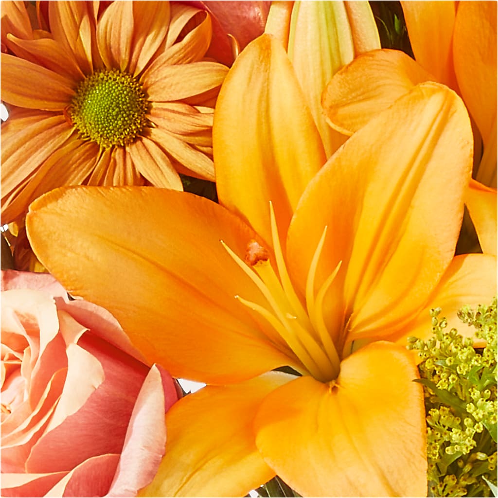 Harvest Hayride Bouquet –  Sweet As Can Bee Florals, Baltimore MD
