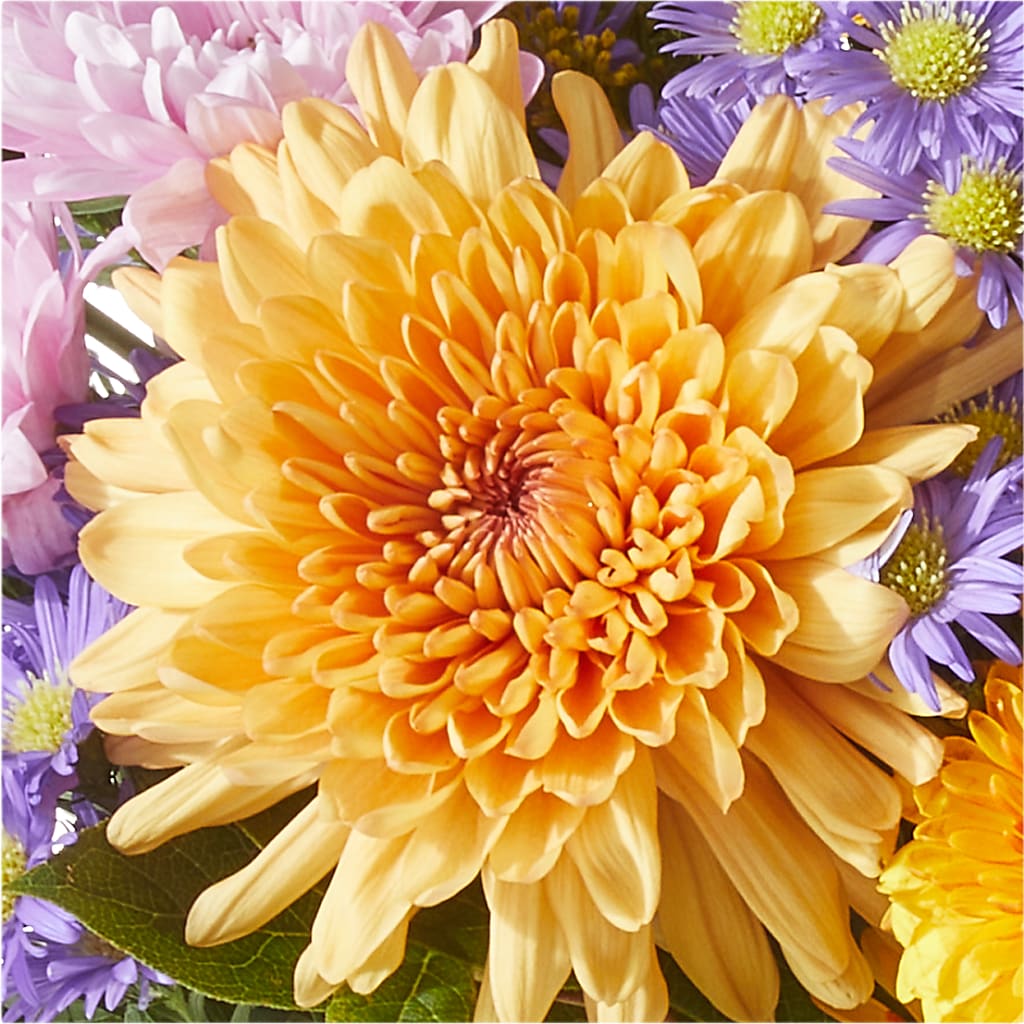 Countryside Bouquet –  Sweet As Can Bee Florals, Baltimore MD