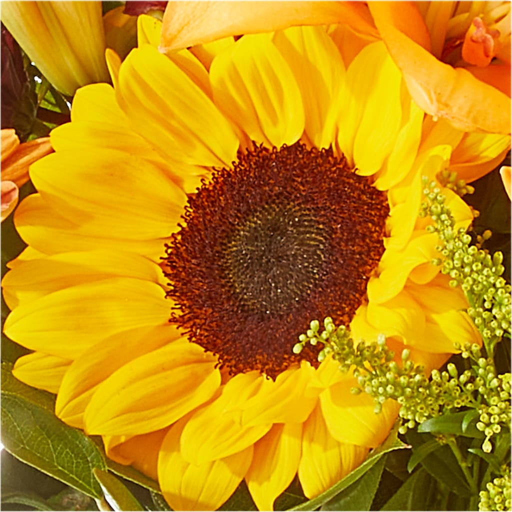 Seasons Change Bouquet –  Sweet As Can Bee Florals, Baltimore MD